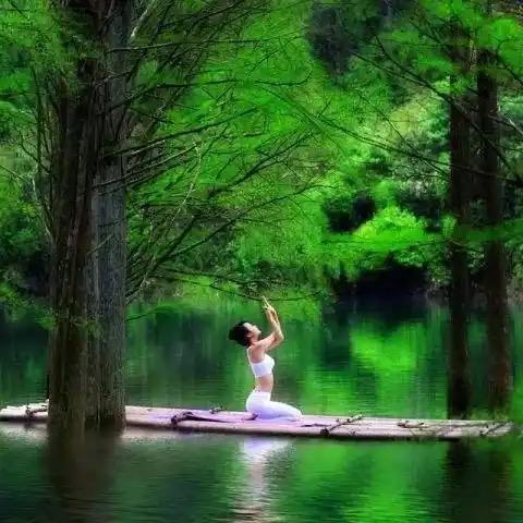 稻朴甄选养生阁