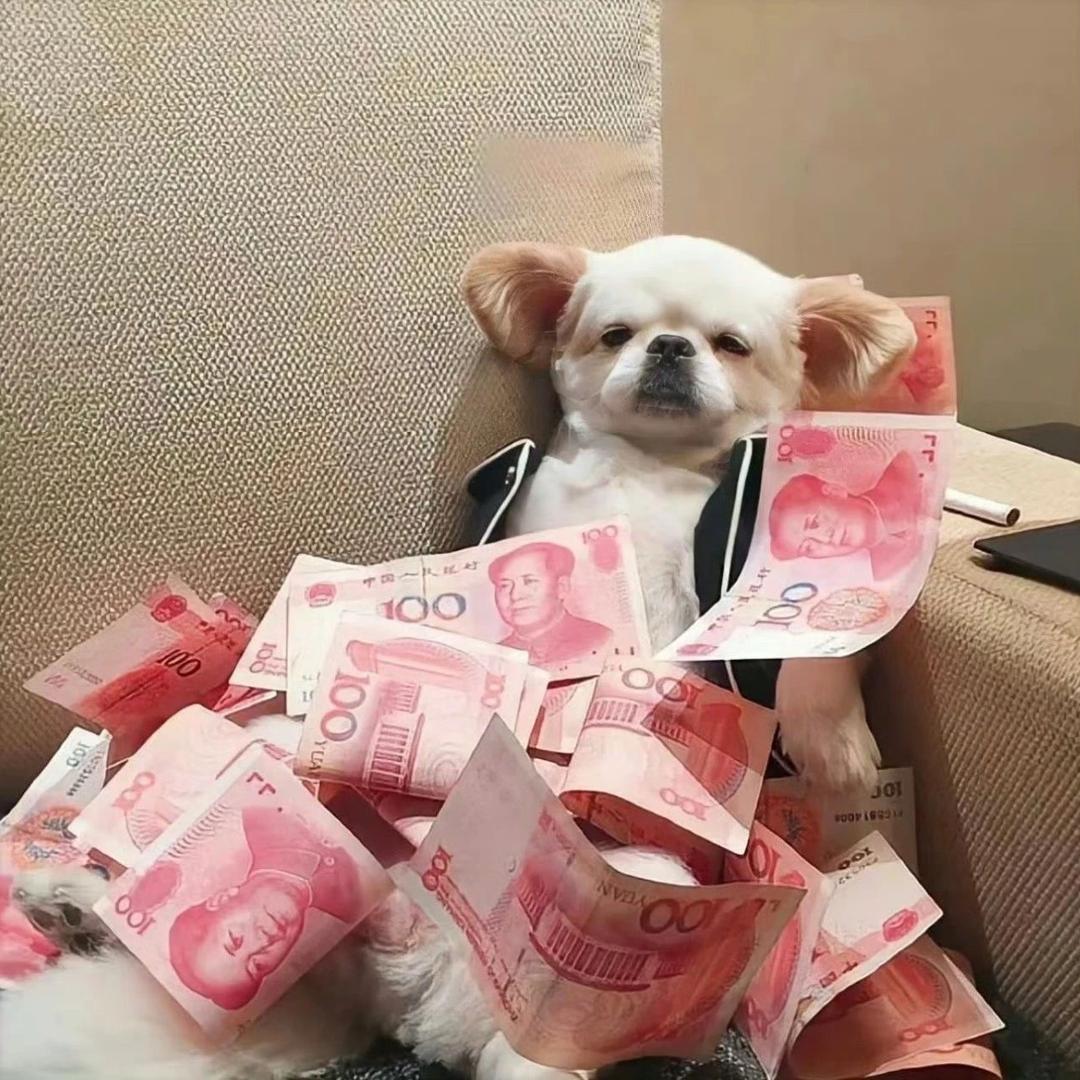 呜呜渣渣