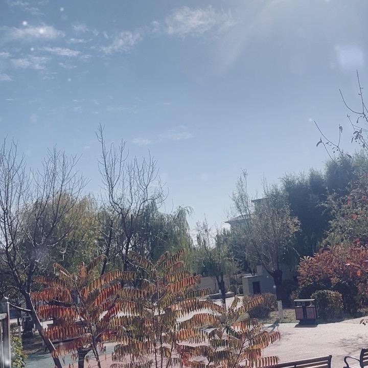 满满金