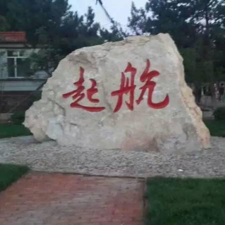会飞的牛