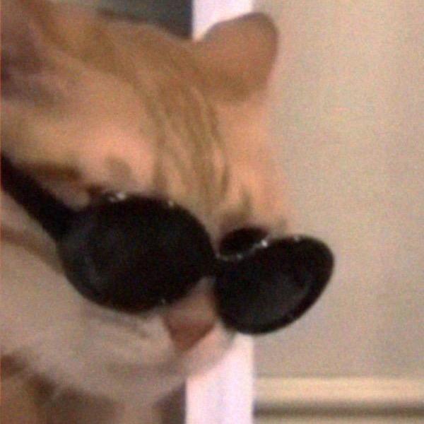 ●_<