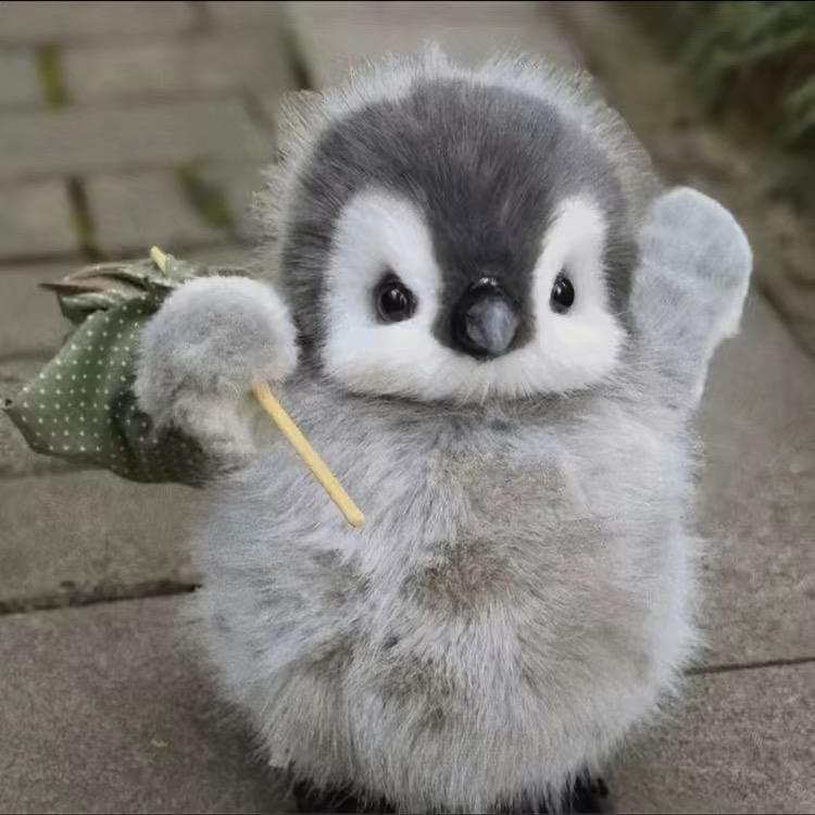 就喜欢西红柿蛋炒饭！！！