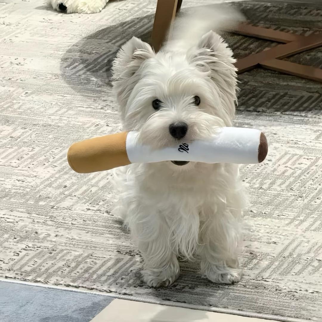 嘉子-