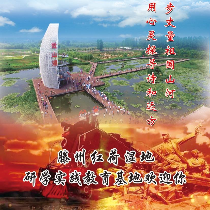 滕州红荷湿地研学实践教育基地