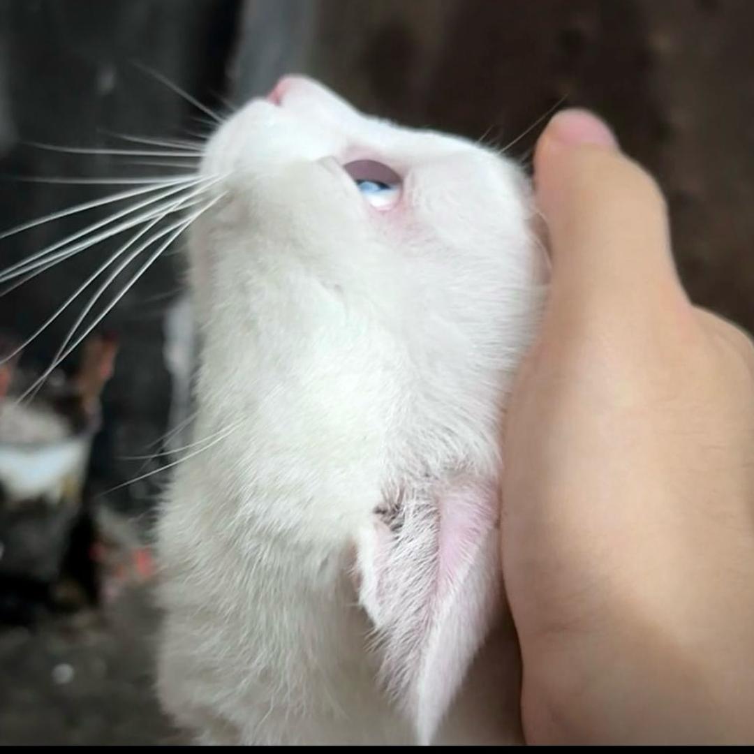 么一咪