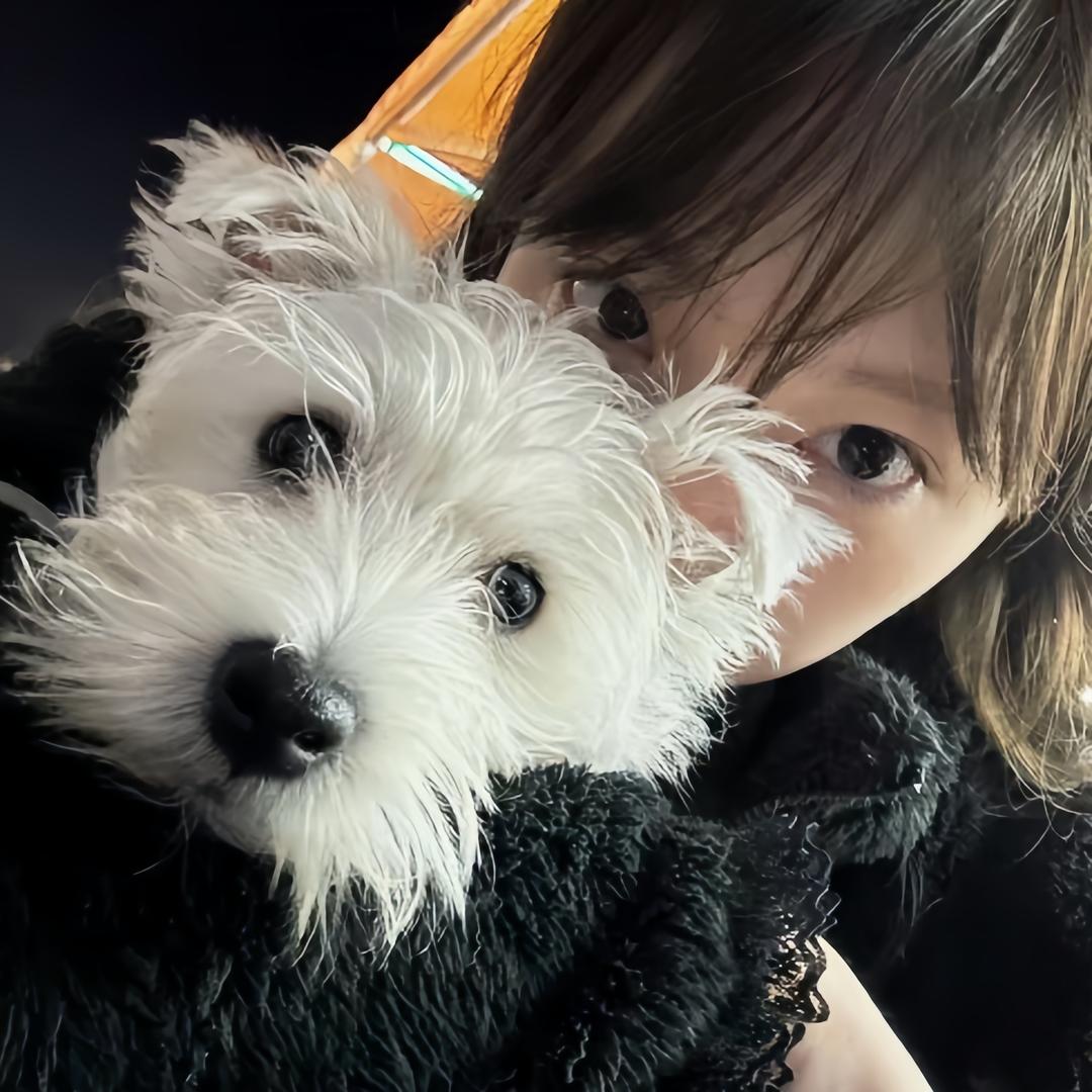 小圆牙