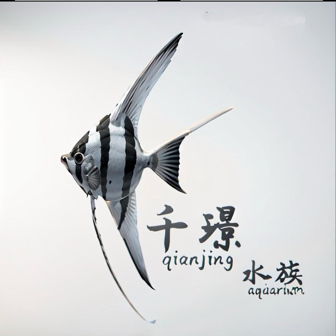 千璟水族