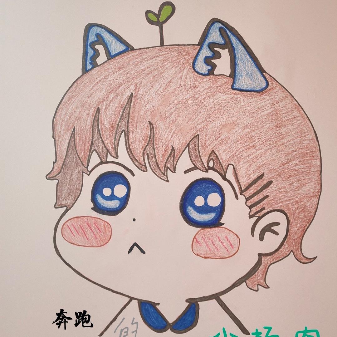 奔跑的小杨肉