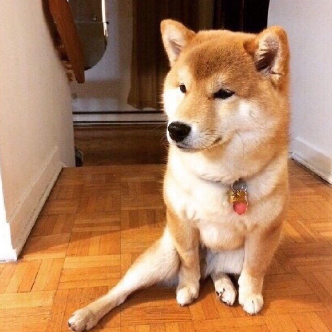 李狗蛋（三角洲行动）