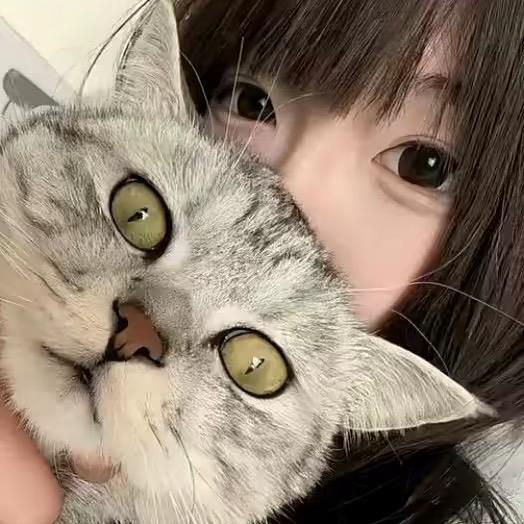 麦片.