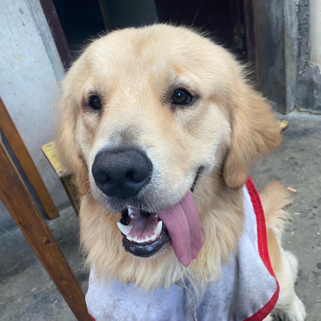 嗨不起来的T1Bro