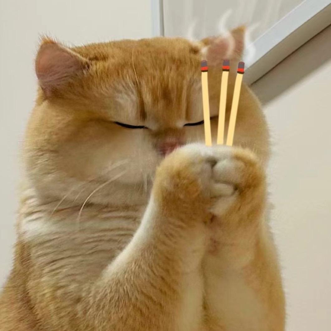 小狗老师