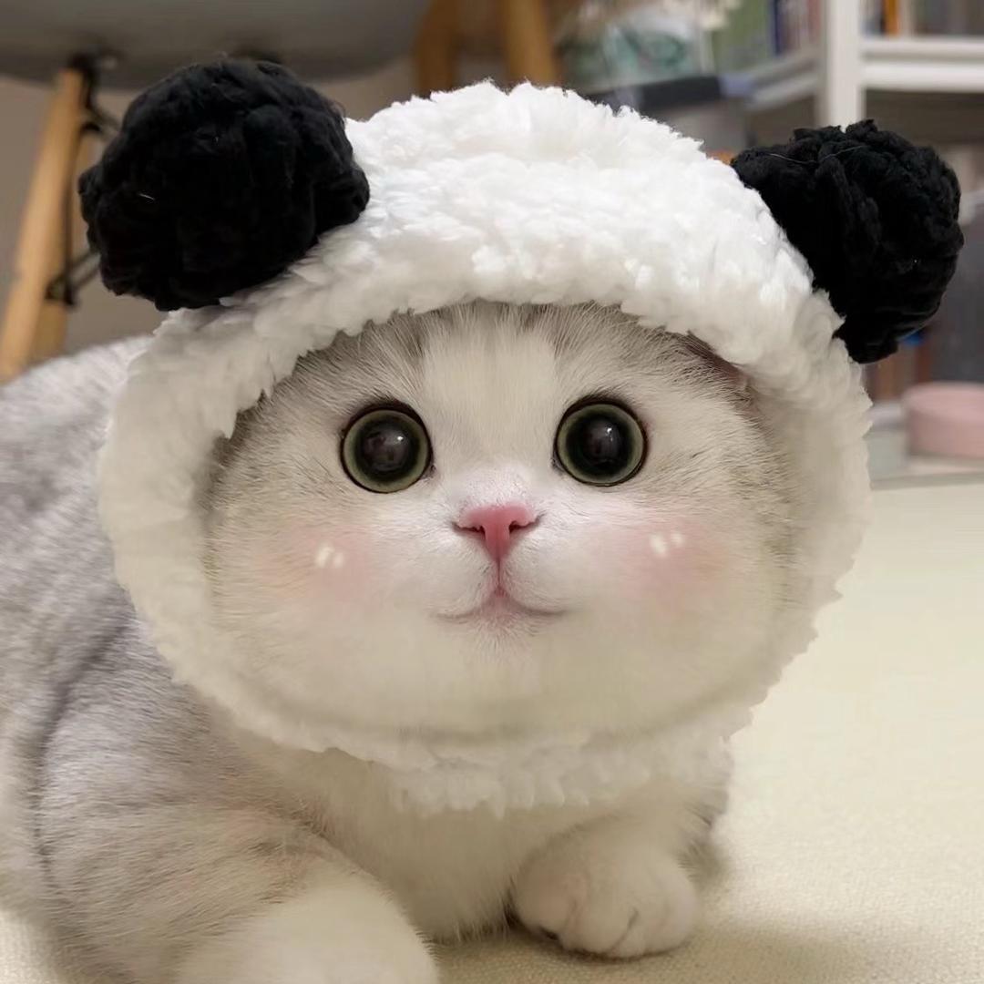 玥玥子