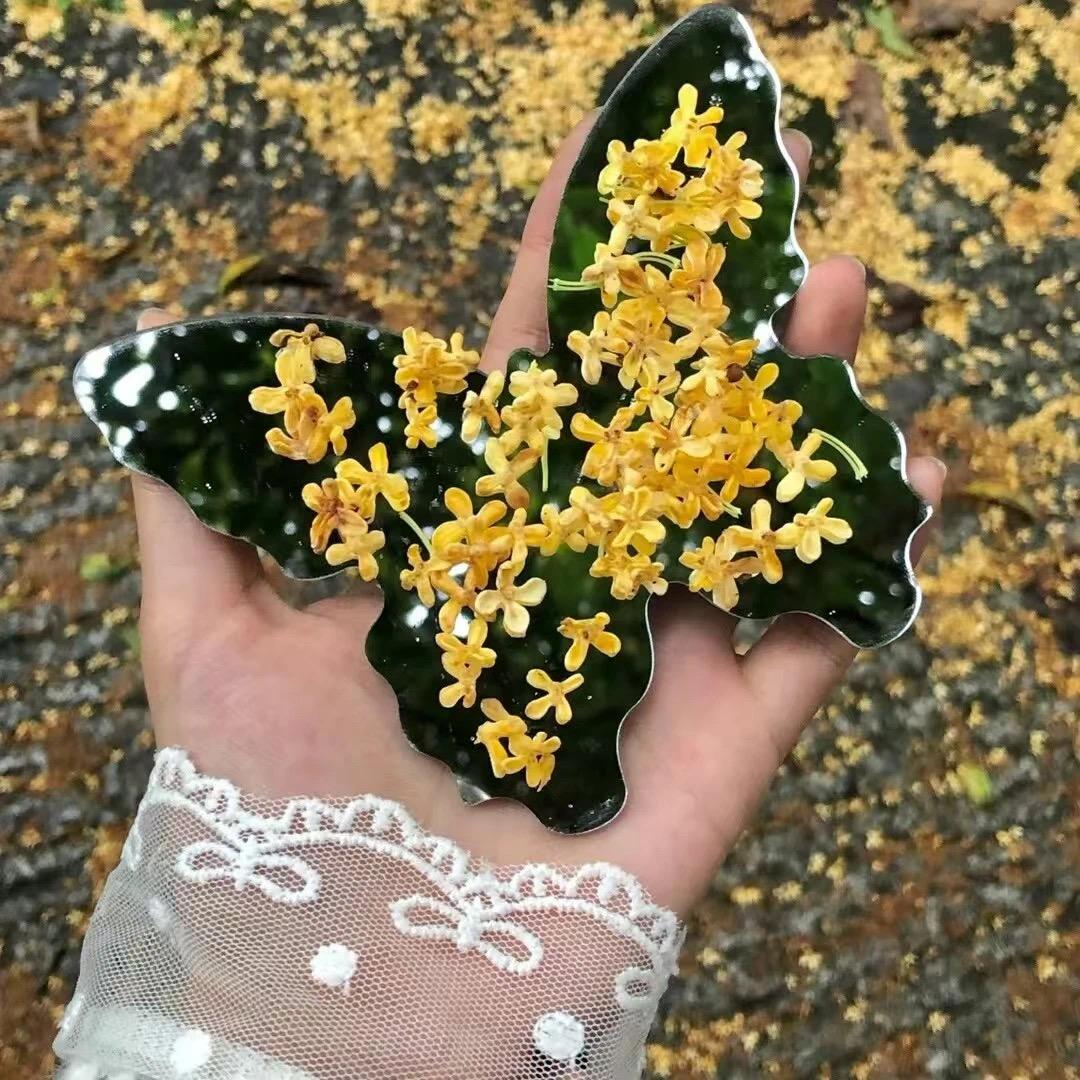 愔愔