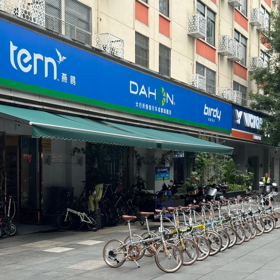 Birdy鸟车DAHON大行风行燕鸥小布