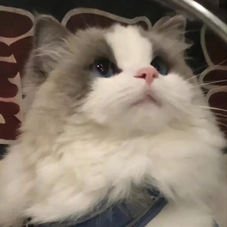 ick
