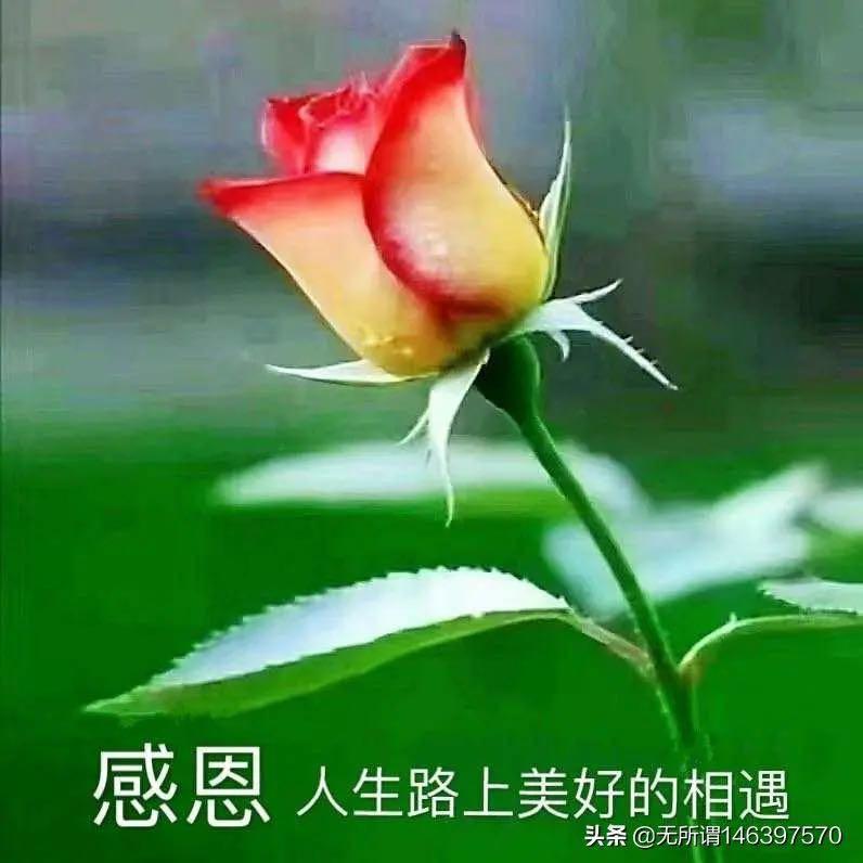 快樂天使