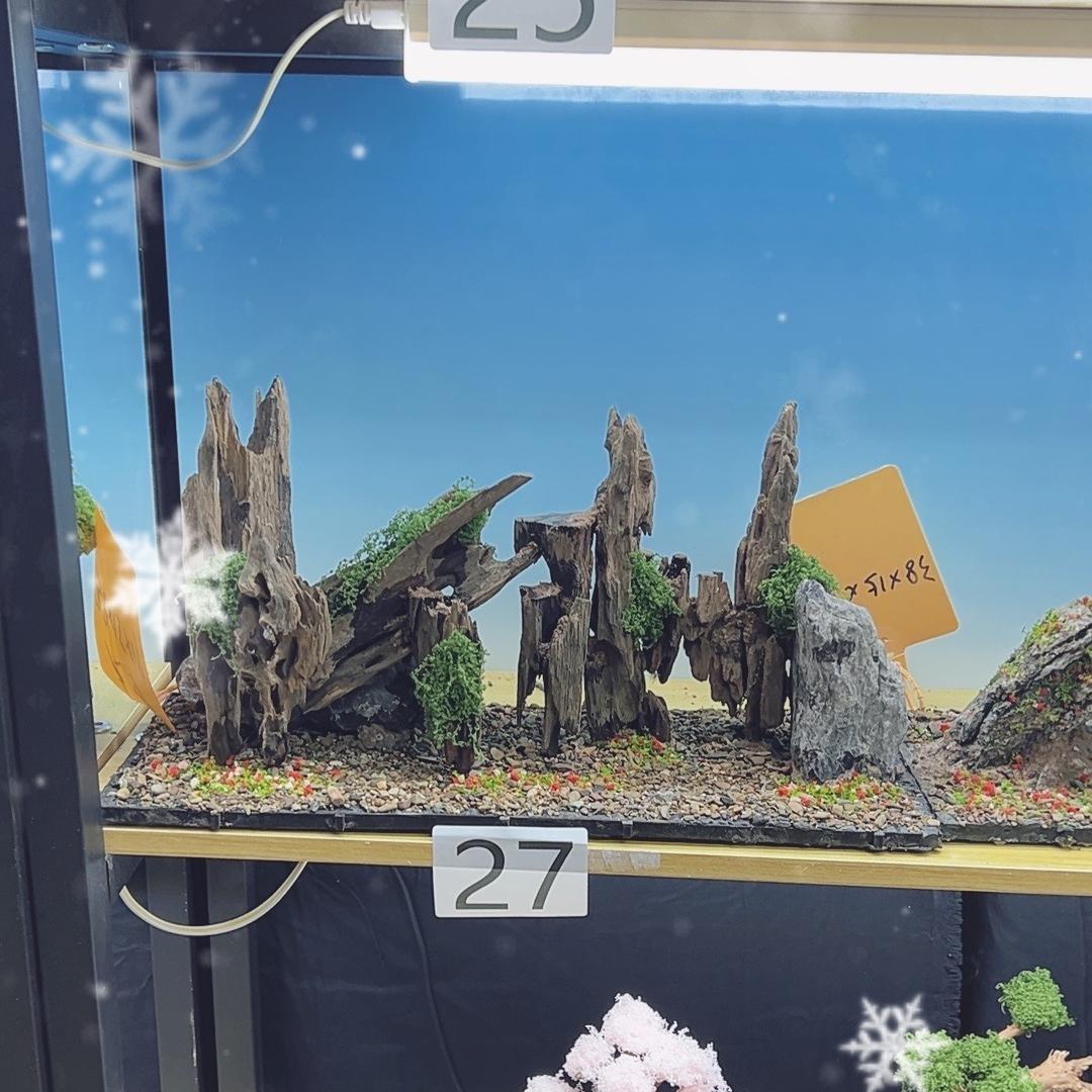 景意鱼缸造景工厂店壹号