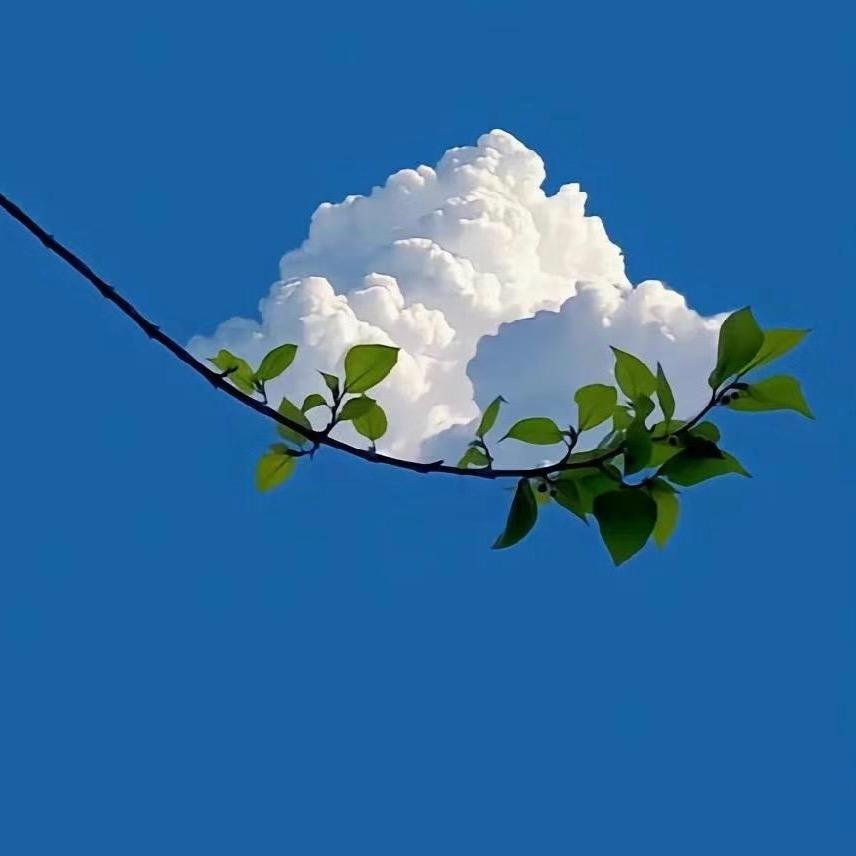 田间地头王先生