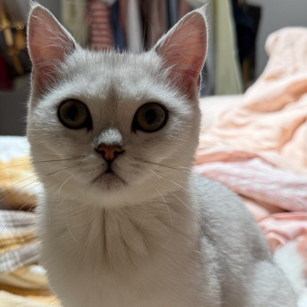 动次 打次!
