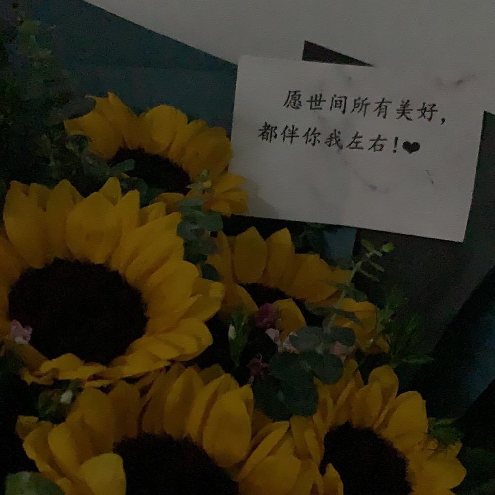 无限咪（养了137只布偶猫）