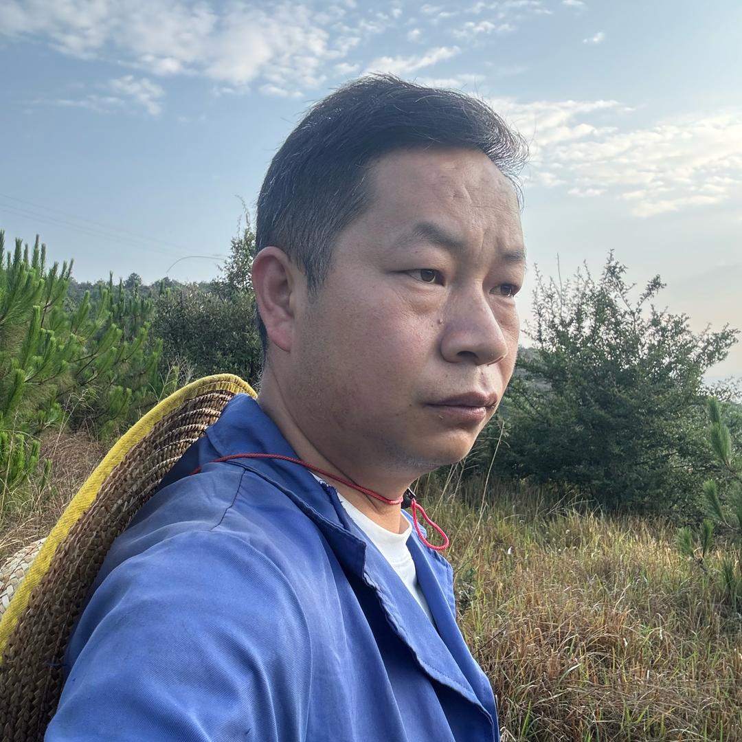 阿虎在农村