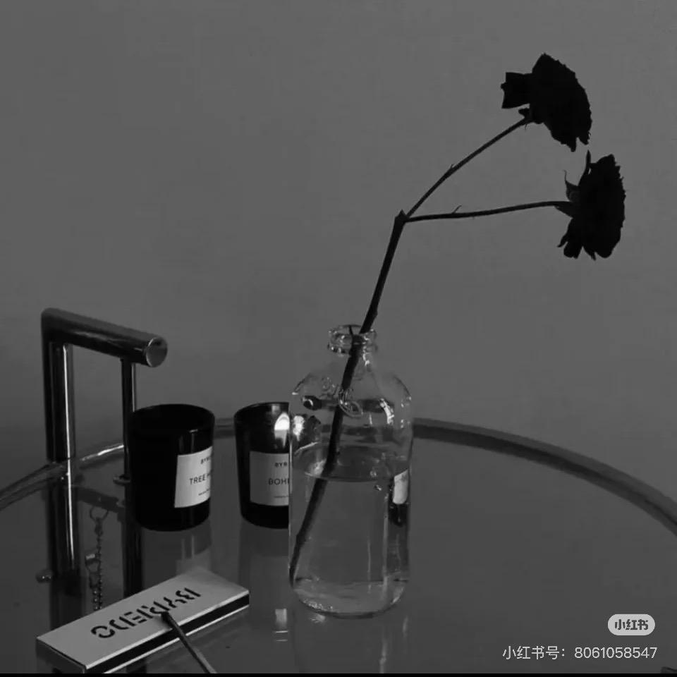 遗憾藏在晚风里