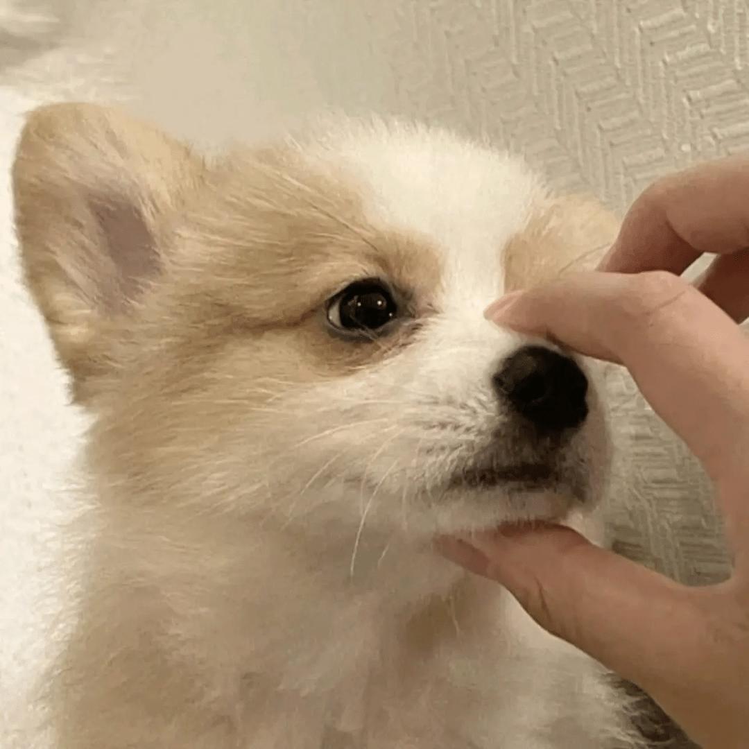 得己