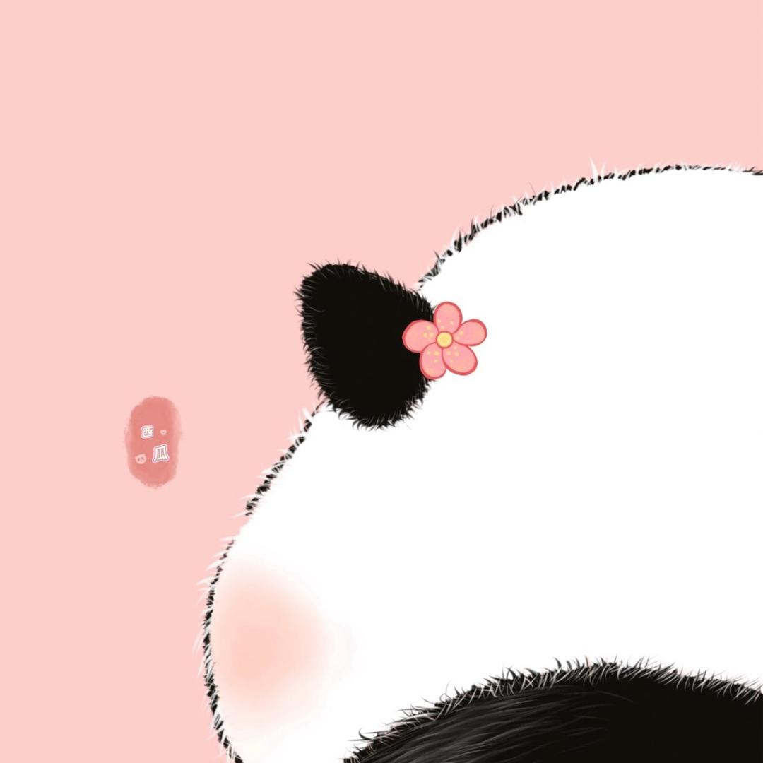 🐼熊猫-西瓜酱🐻