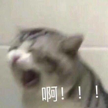 杭州最后一个ikun