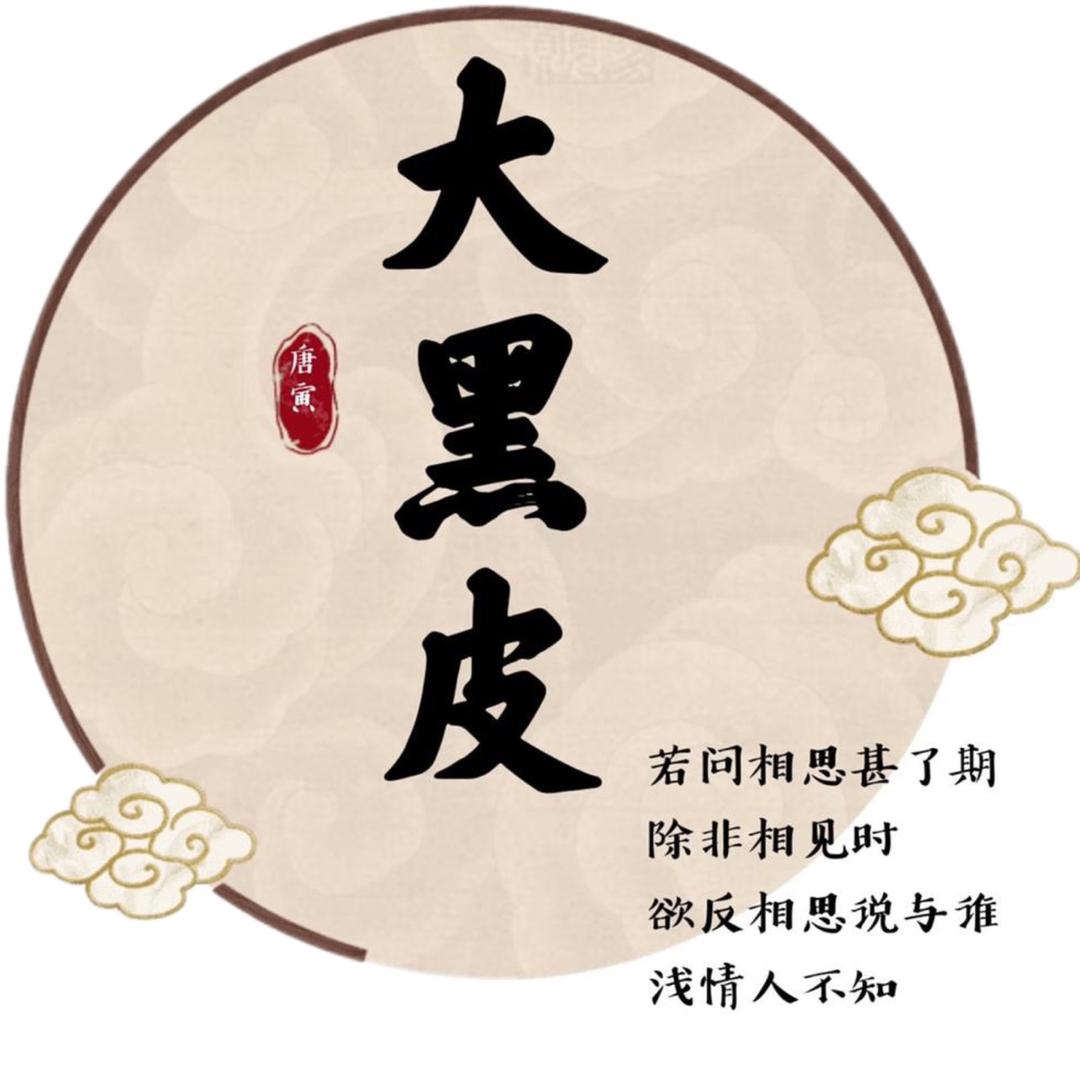 大黑皮影视