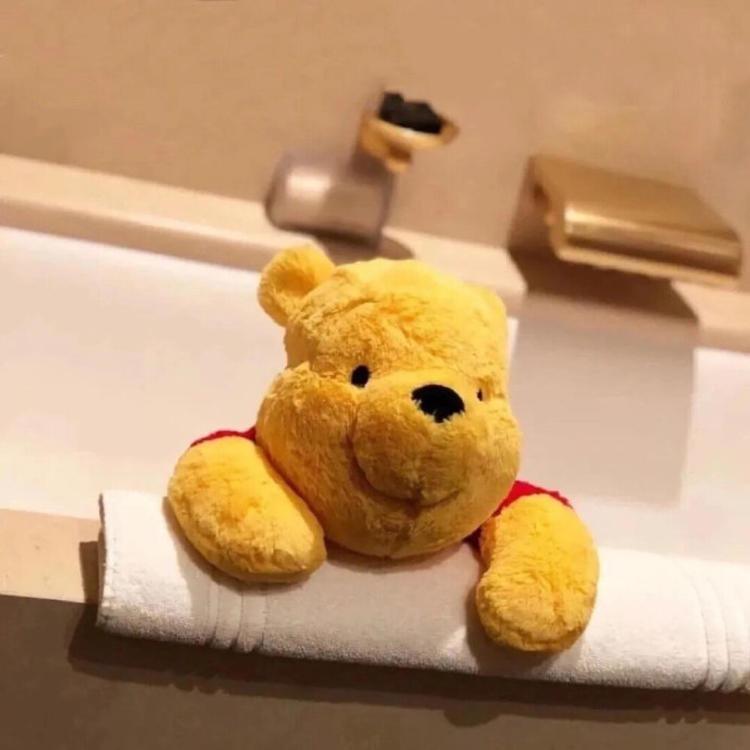 树叶的一生、
