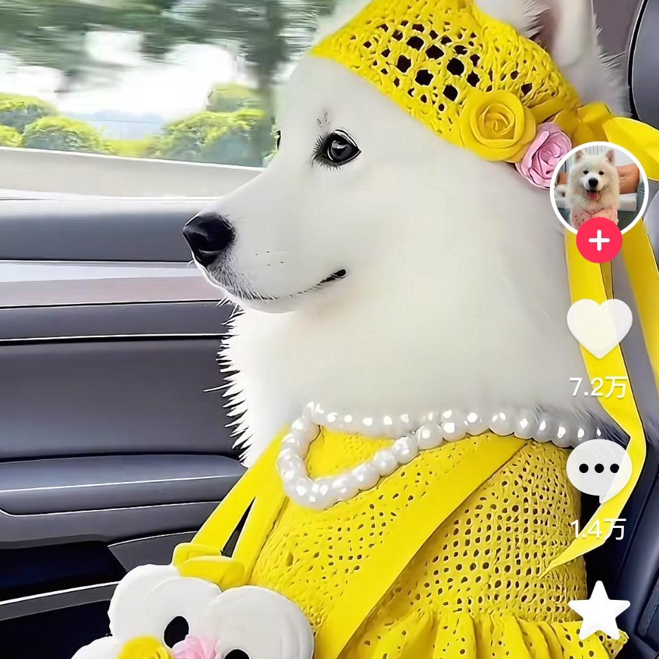 桥