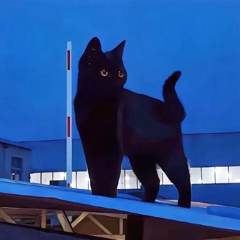 冬推行