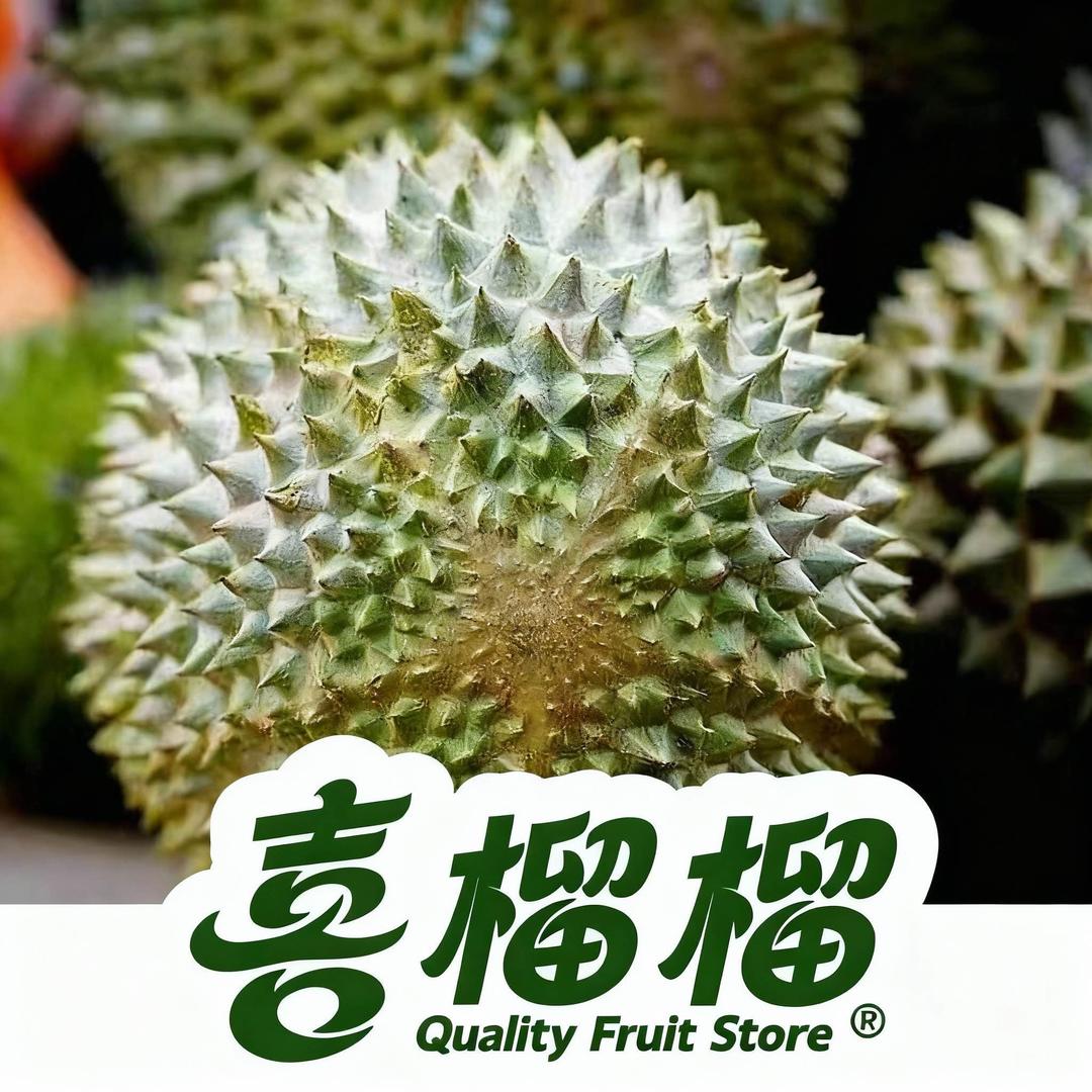 泸州小良哥～猫山王榴莲