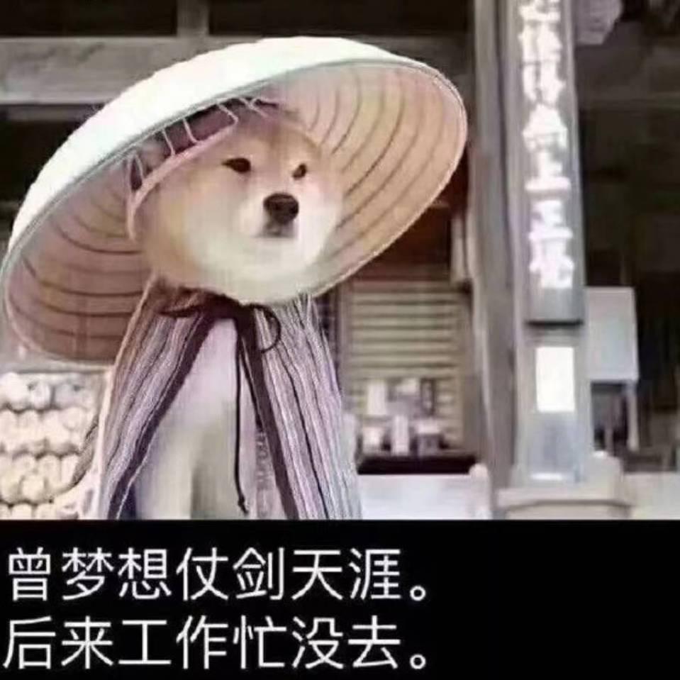 我会煮泡面
