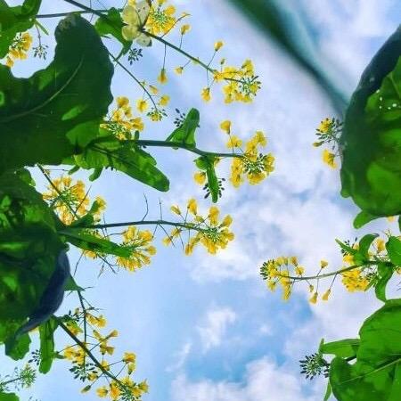 甜心家居好物
