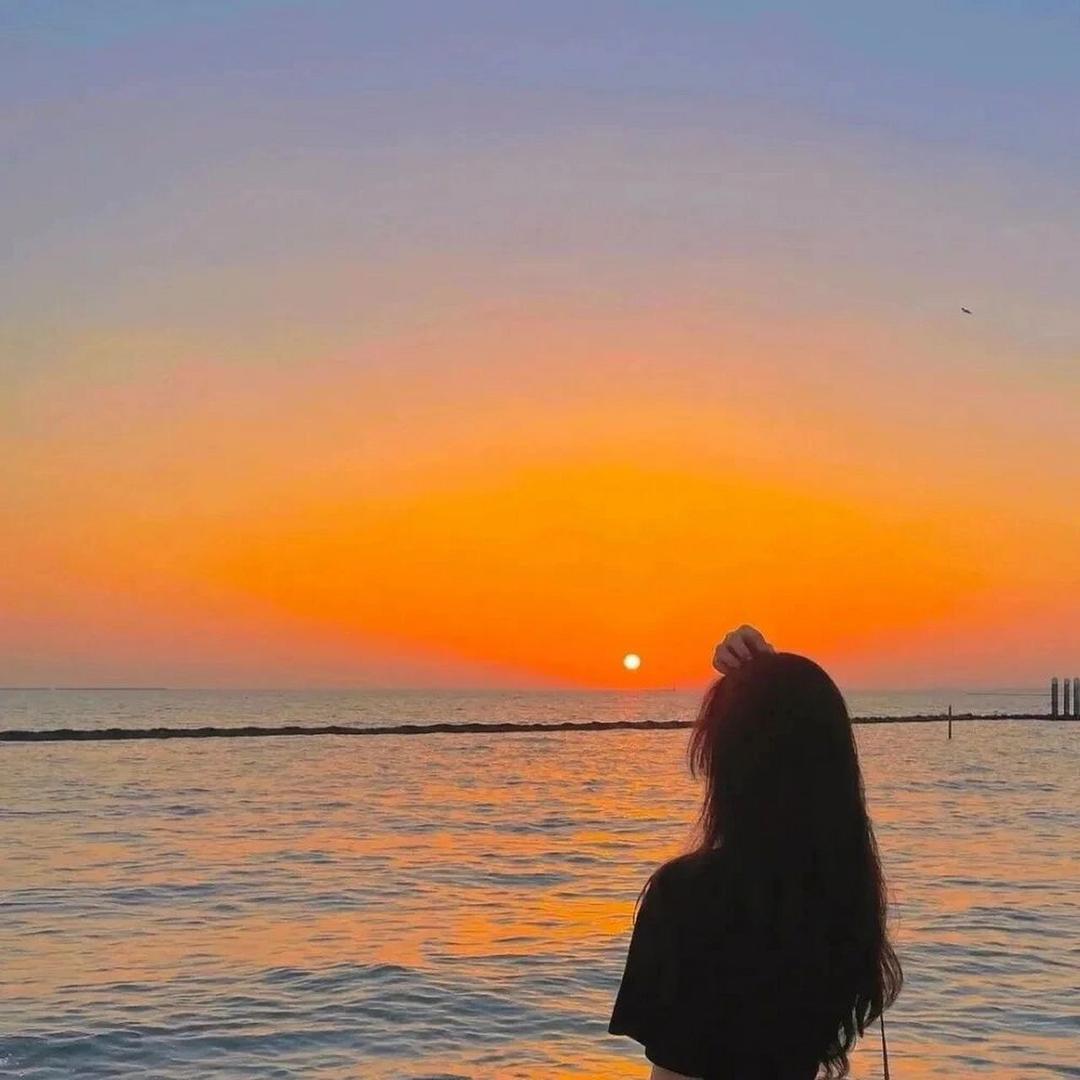 言言甄选好物☀️