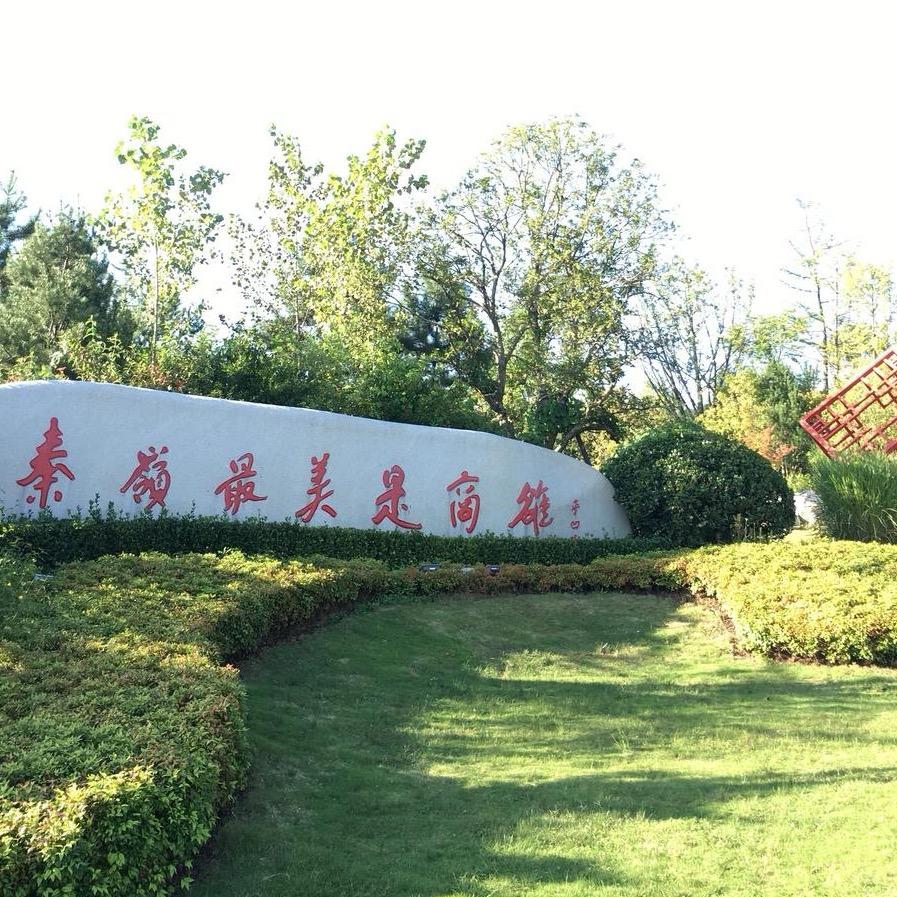 商洛随拍