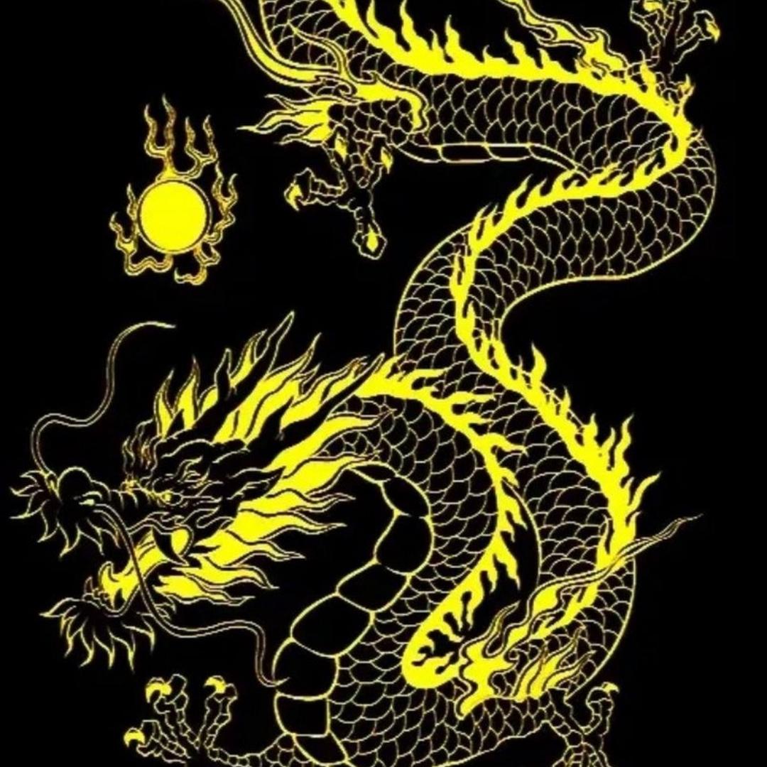 驾驶队长