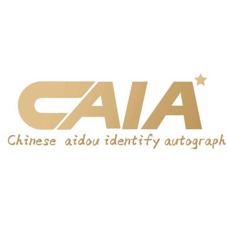 CAIA签名海报