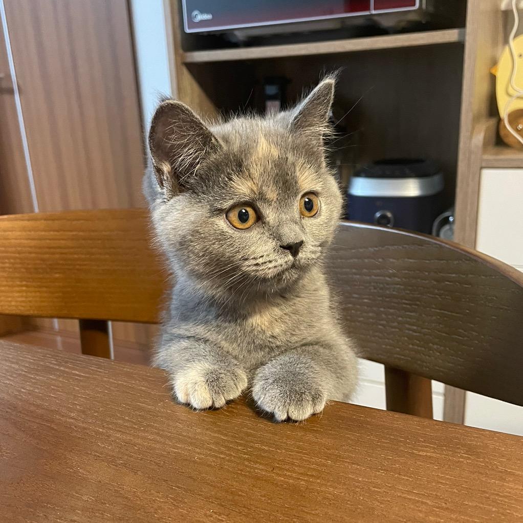 我是一个超级兵