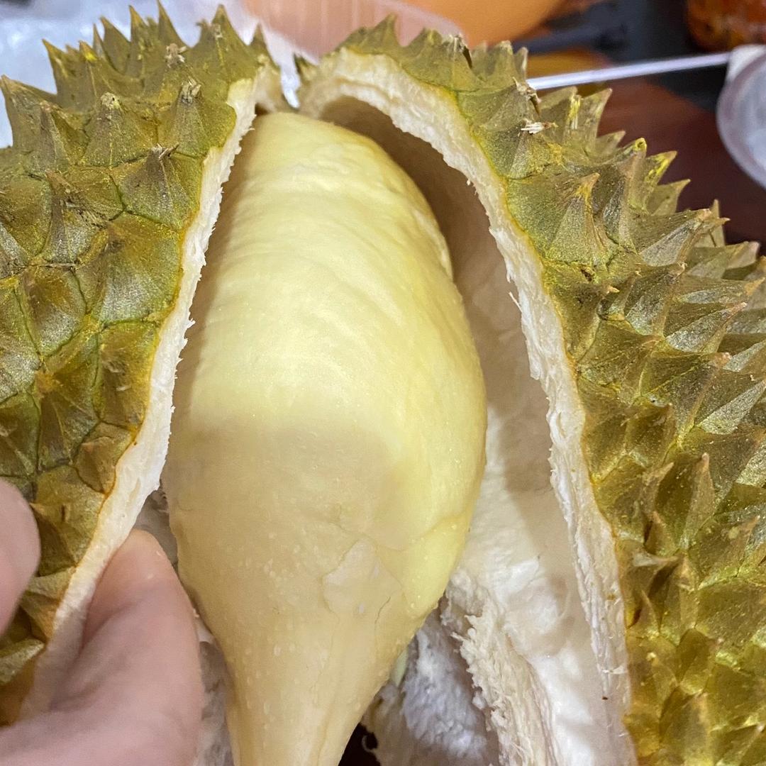 心宽◕‿◕路顺