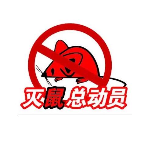灭鼠总动员