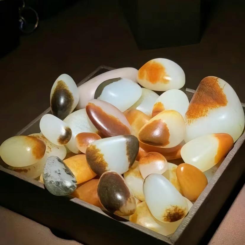 布冯籽玉