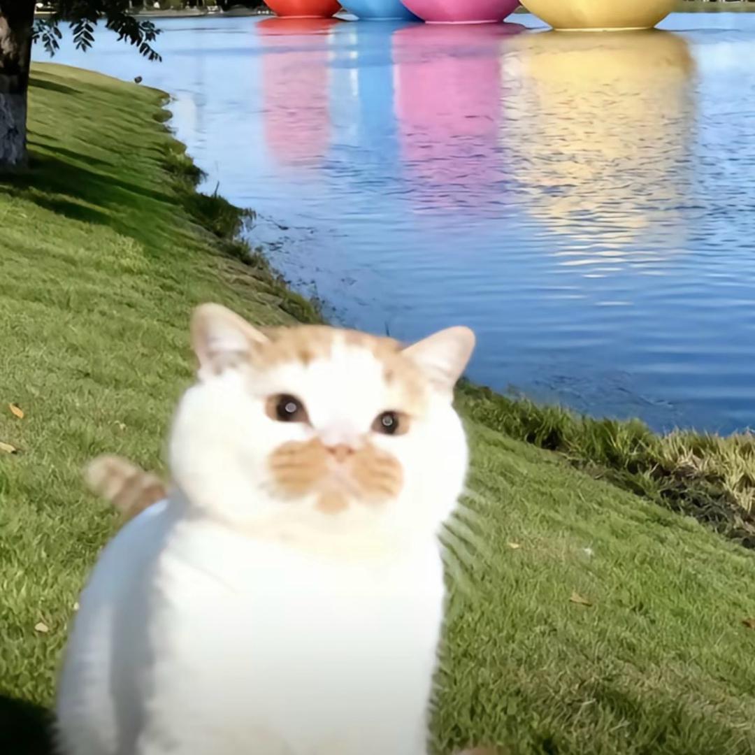 西米露