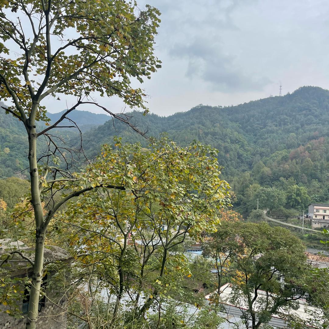 阿夏的故事