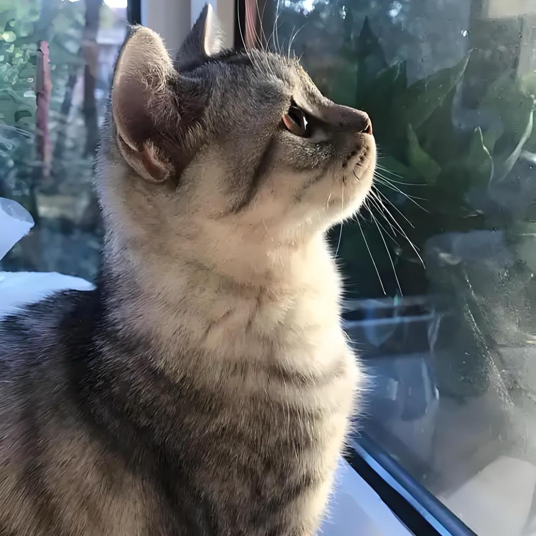 夏天