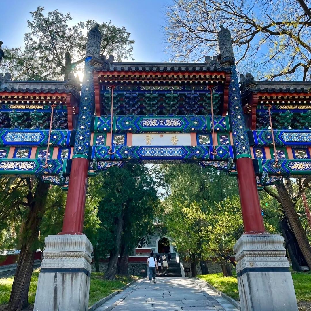 缘尘