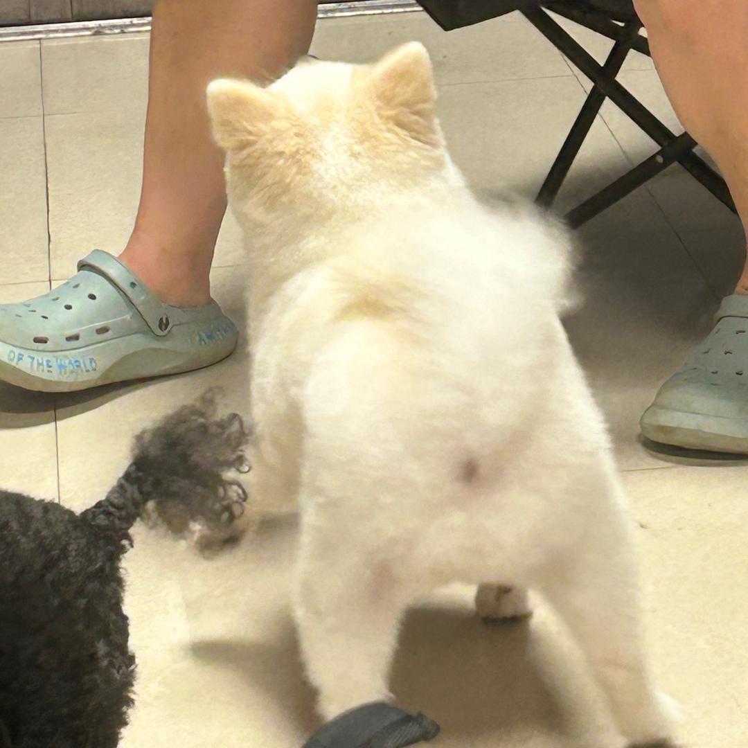 大脸琳姐（水瓶）